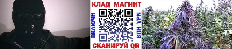 Где купить наркотики Ачинск Марихуана  Галлюциногенные грибы  МЕТАДОН  Меф мяу мяу  Кокаин  ГАШ  МЕГА зеркало  АМФЕТАМИН  APVP 