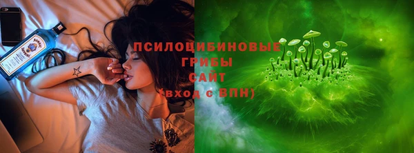 ПСИЛОЦИБИНОВЫЕ ГРИБЫ Алзамай