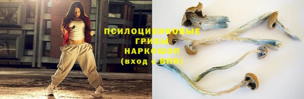 spice Алексеевка