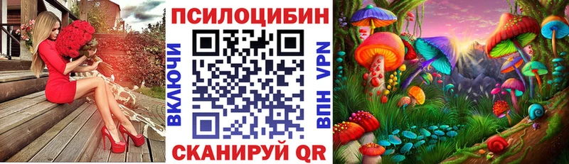 Галлюциногенные грибы MAGIC MUSHROOMS  купить   Ачинск 